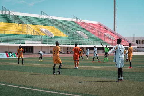 会结构